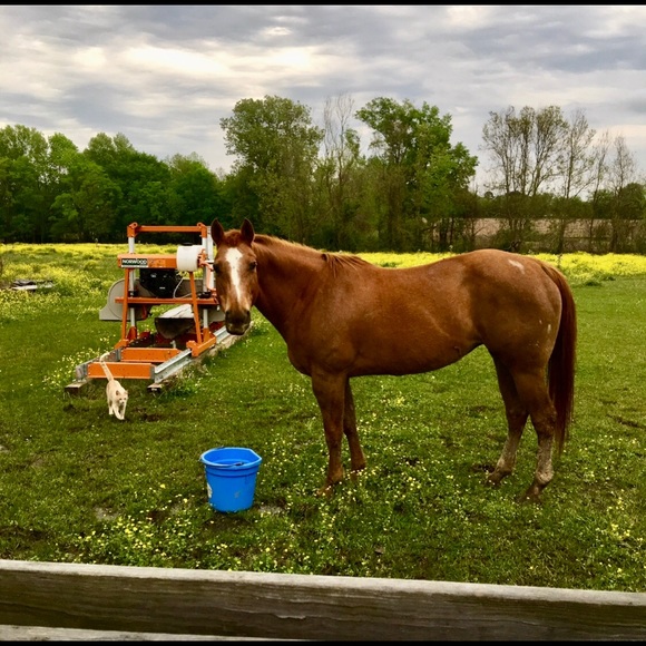 Meet your Posher, Regina - Picture 7 of 8